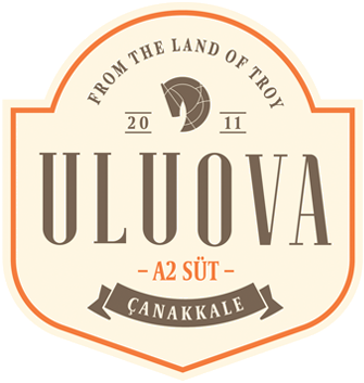 uluova.png (89 KB)